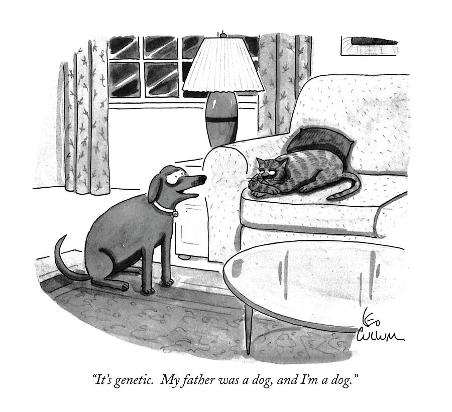 Image result for its genetic i'm a dog cartoon new yorker
