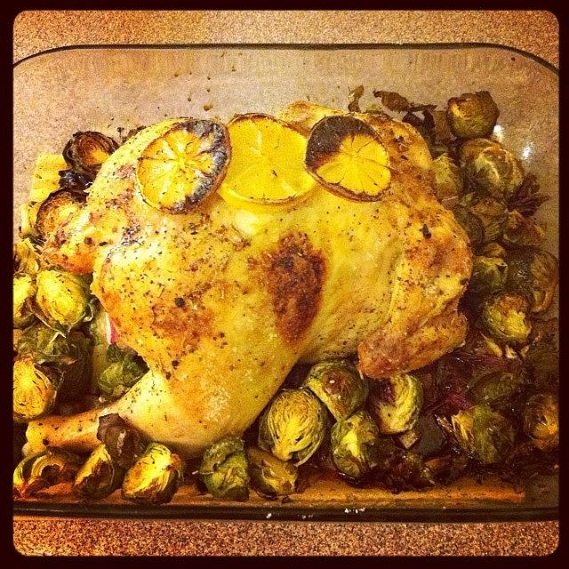 Adulthood Photograph - Its My First Whole Roasted Chicken! by Megan Sadd