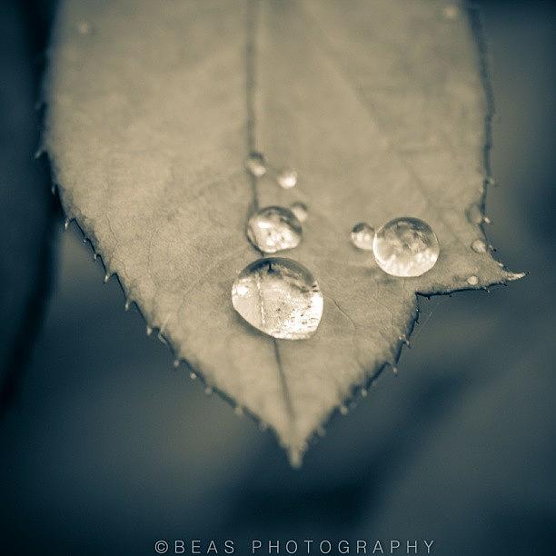 Summer Photograph - Its Raining But Its Hot, Weird by Saul Jesse Beas