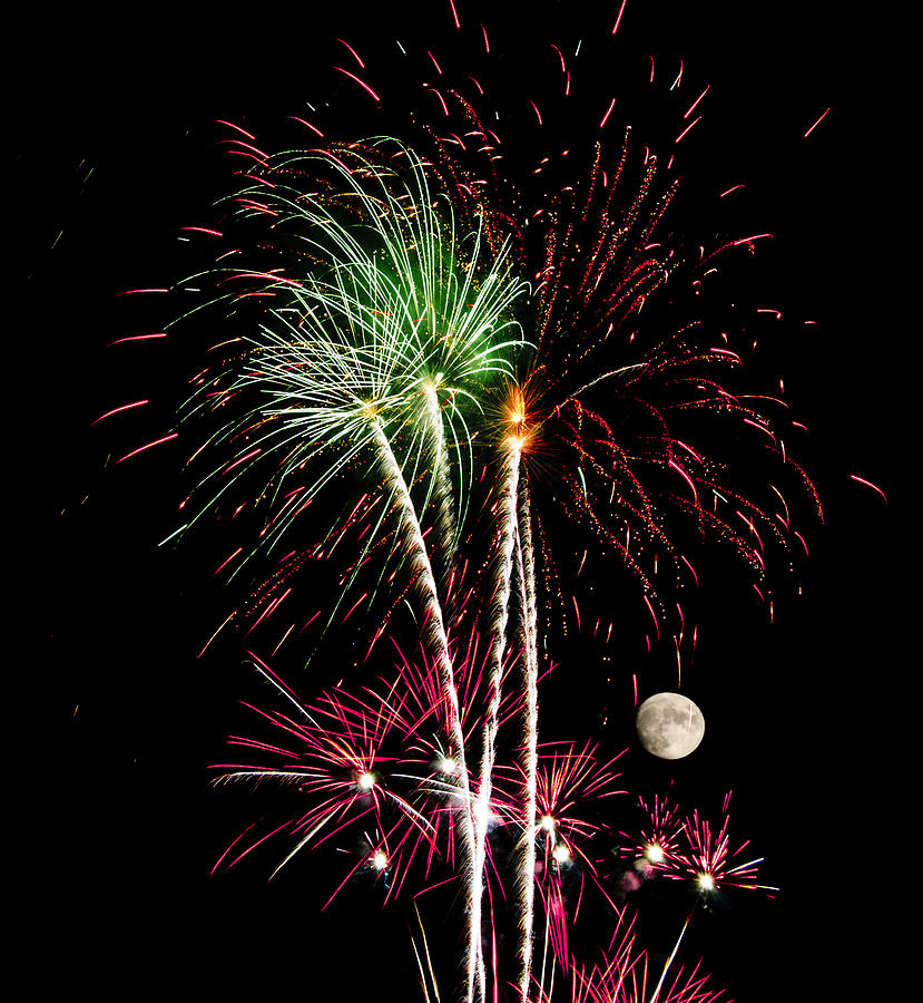 Its Raining Red drops on the Red Flowers - Fireworks and Moon Photograph by Penny Lisowski