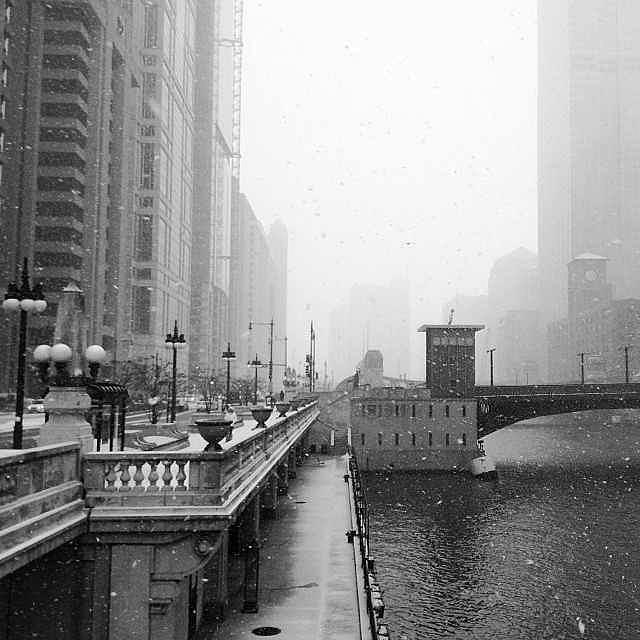 Its Still Snowing in Chicago Photograph by Lori Strock