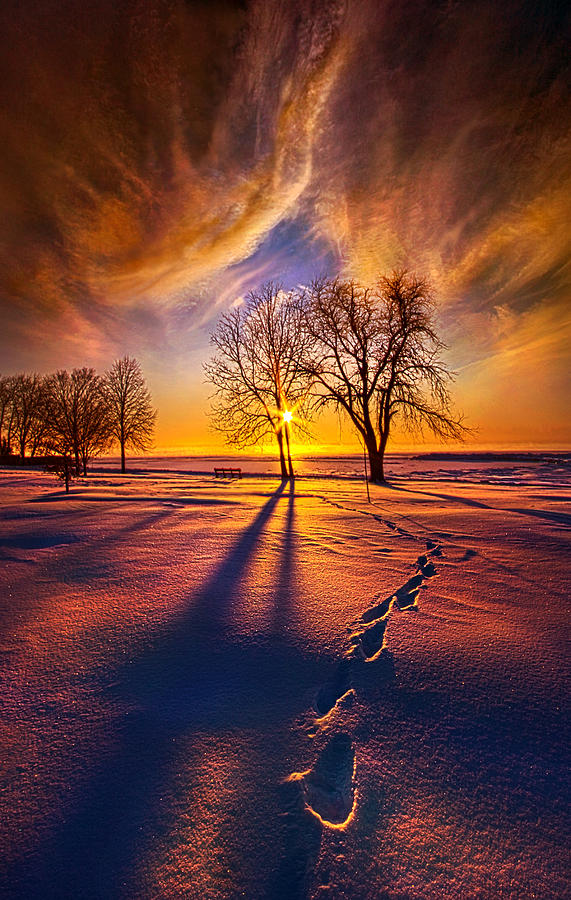 Its Time to Come Home Photograph by Phil Koch