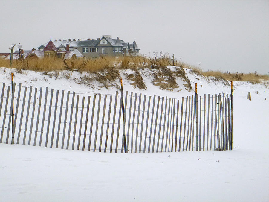 Its White Sand Photograph by Ellen Paull
