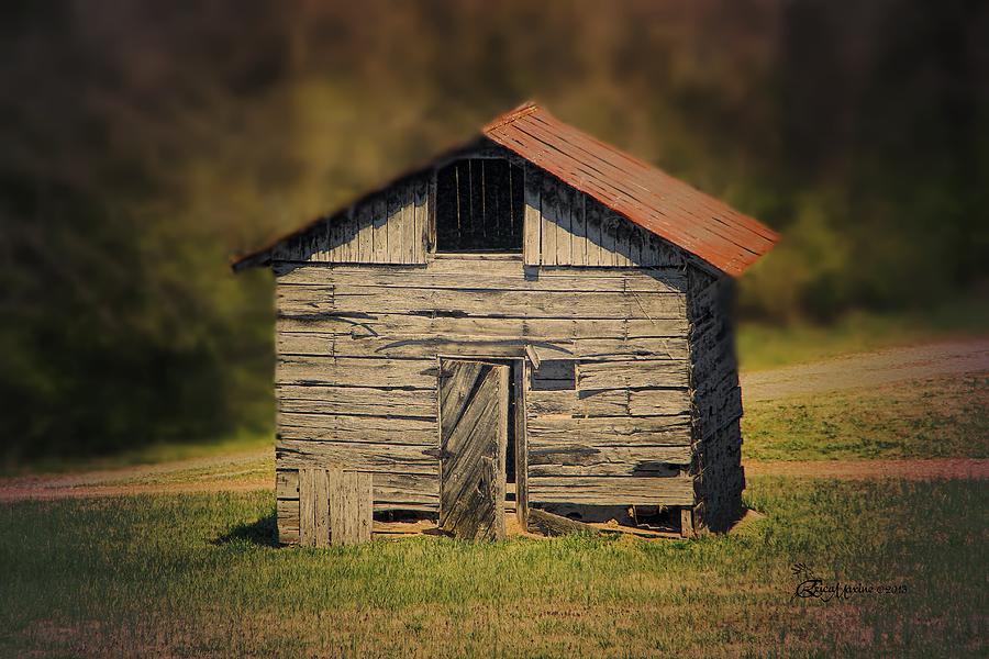 Itsy Bitsy Cabin Photograph by Ericamaxine Price | Fine Art America