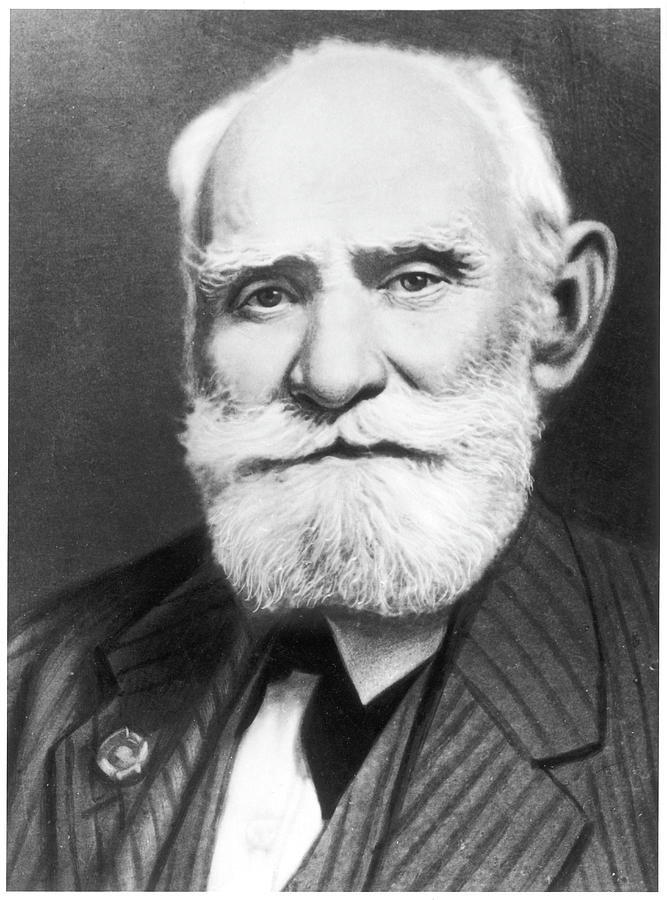 Ivan Petrovich Pavlov Russian Photograph By Mary Evans Picture Library