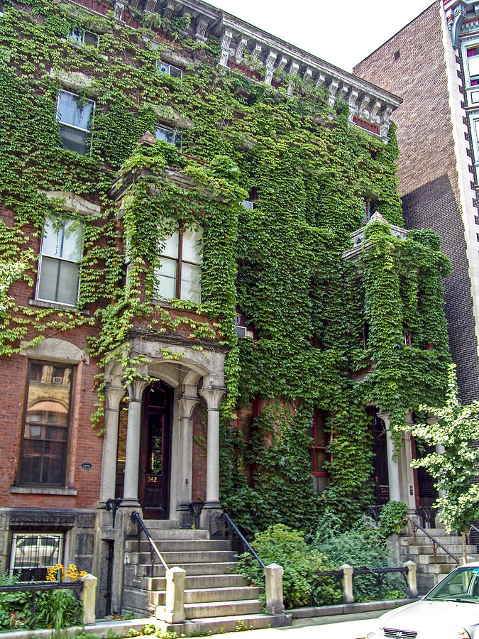 Ivy Brownstone Photograph by Eric Swan