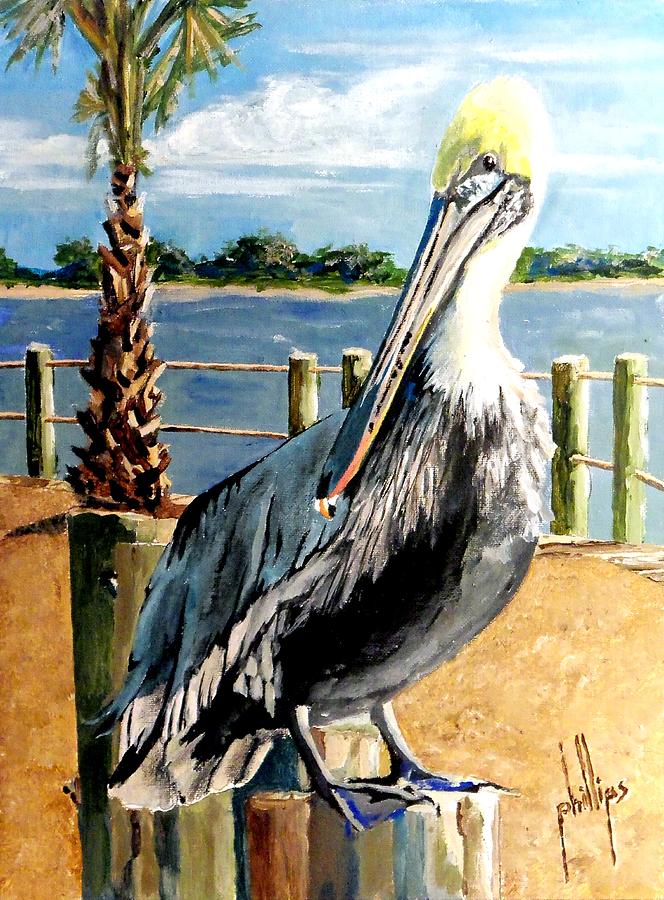 Pelican Painting - Ive Got My Eye On You by Jim Phillips