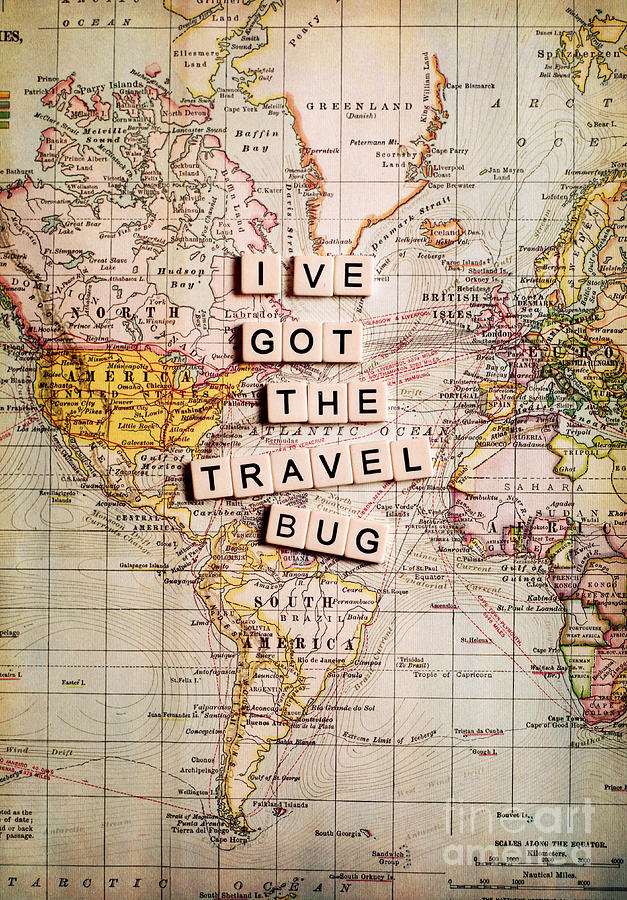 Ive got the travel bug Photograph by Sylvia Cook