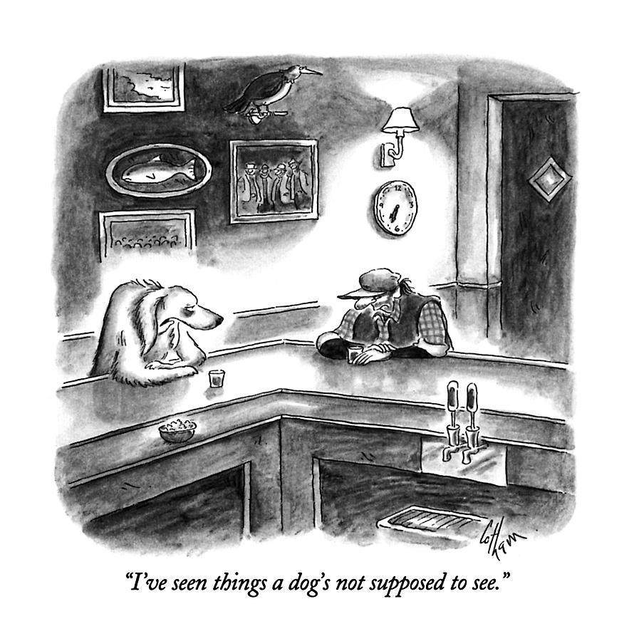 Ive Seen Things A Dogs Not Supposed To See Drawing by Frank Cotham