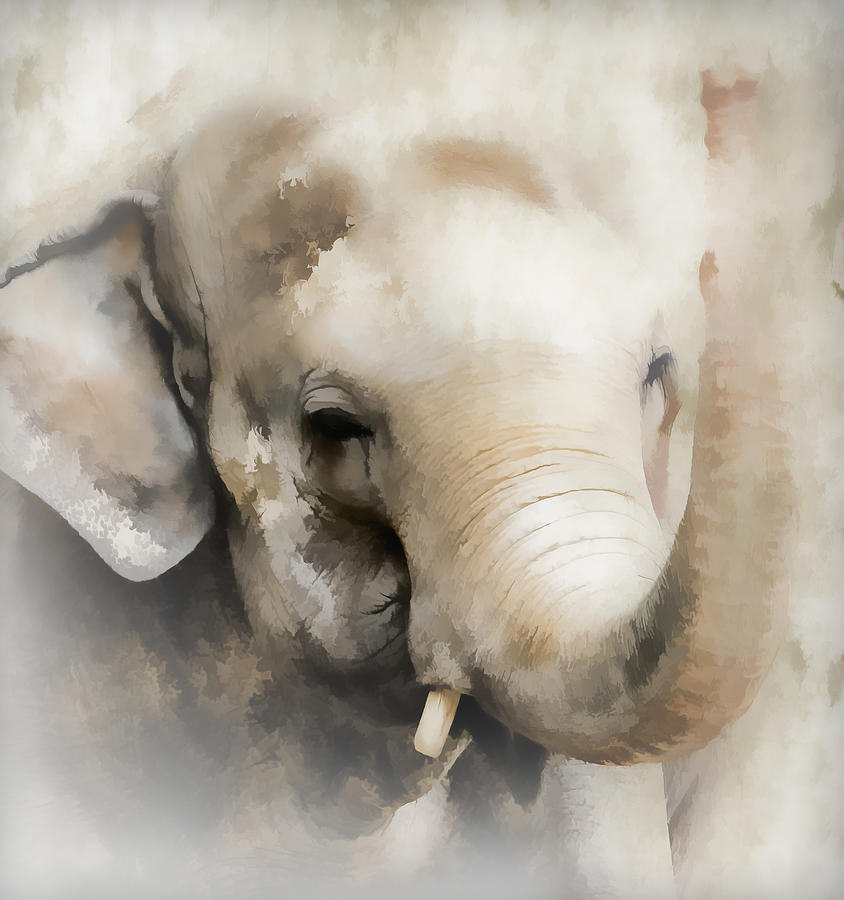 Ivory Elephant Photograph by Athena Mckinzie