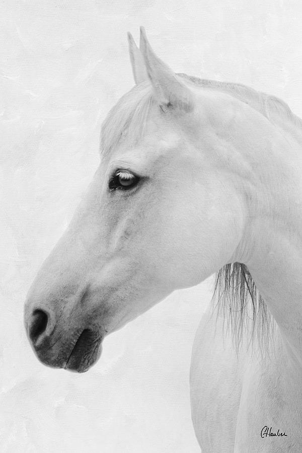Ivory Spirit White Photograph by Christine Hauber