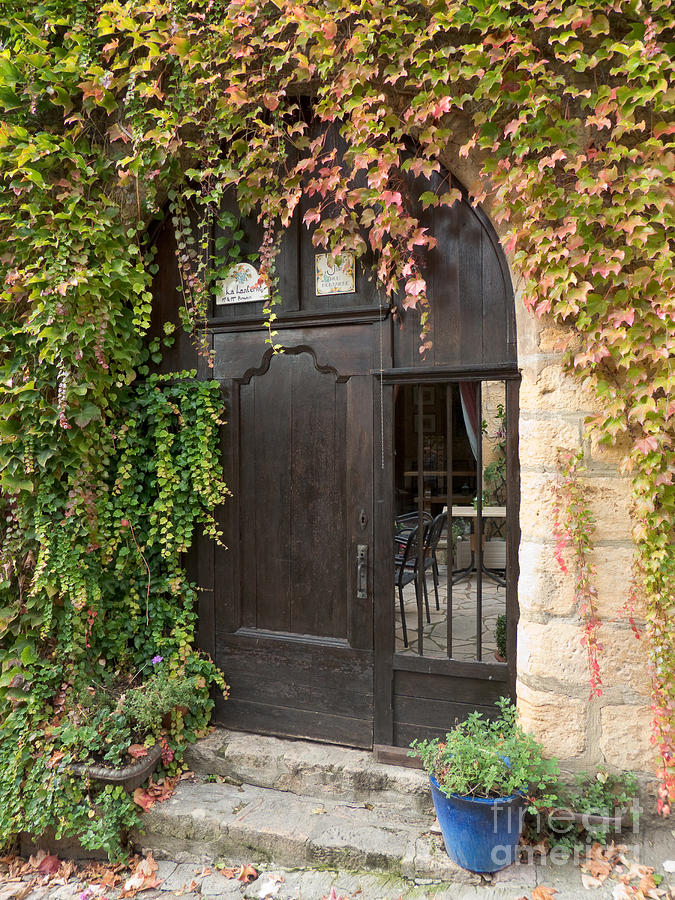 Ivy Covered Doorway Photograph by Paul Topp