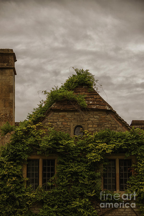 Architecture Photograph - Ivy Covered by Margie Hurwich