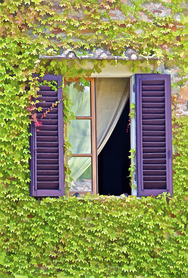 Ivy Covered Window of Tuscany Photograph by David Letts