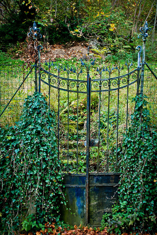 Ivy Gates