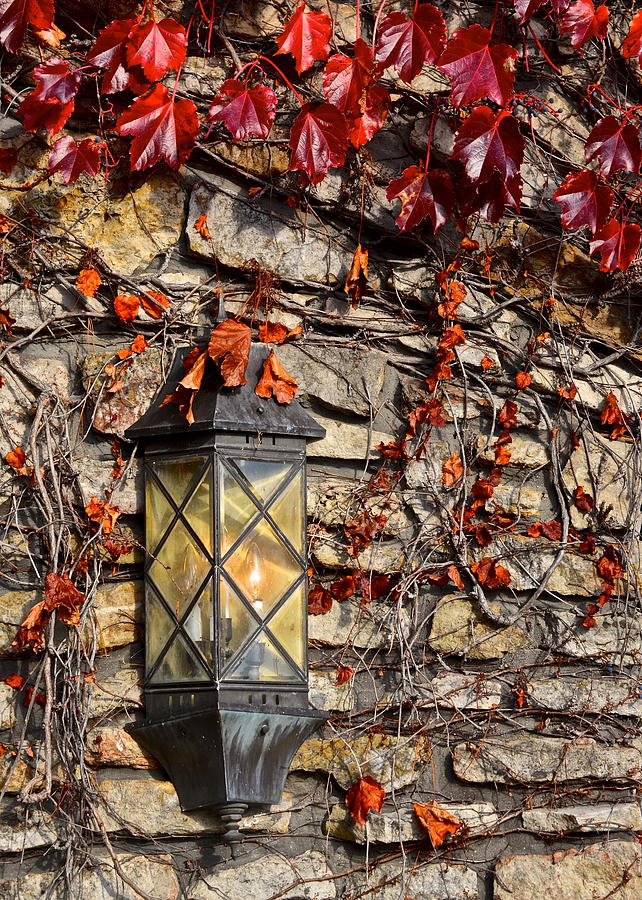 Ivy Lantern Photograph by Frozen in Time Fine Art Photography