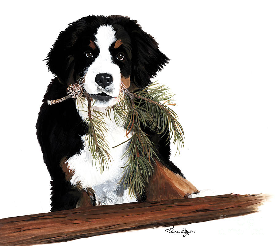 Bernese Mountain Dog  Painting - Iz a Lumberjack by Liane Weyers