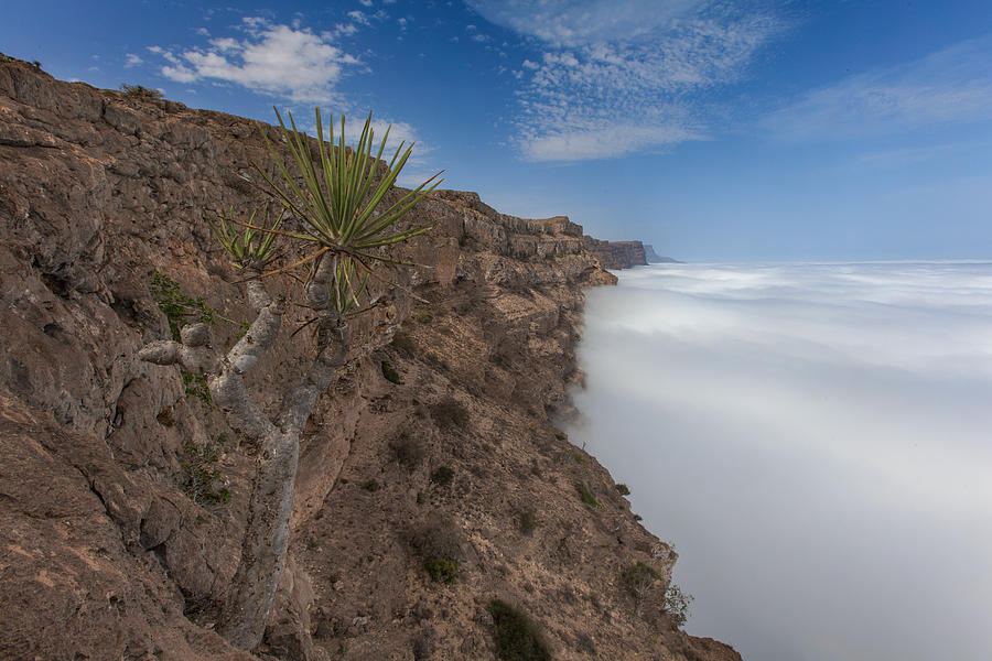 Nature Photograph - Jabal Samhan by Mohd Alhadi