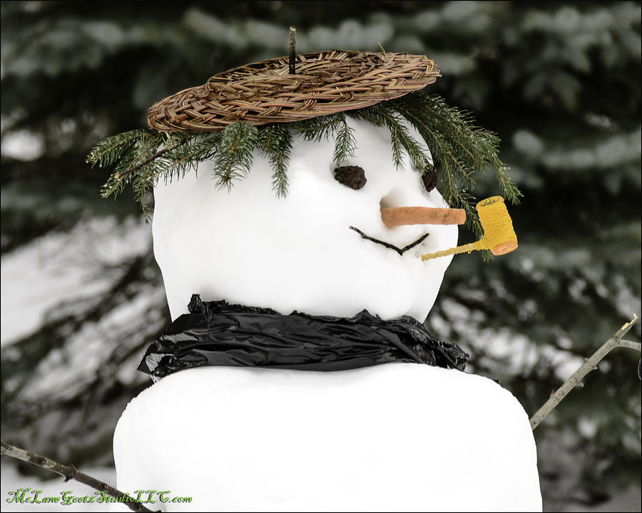 Winter Photograph - Jack Frost Nipping at your Nose by LeeAnn McLaneGoetz McLaneGoetzStudioLLCcom