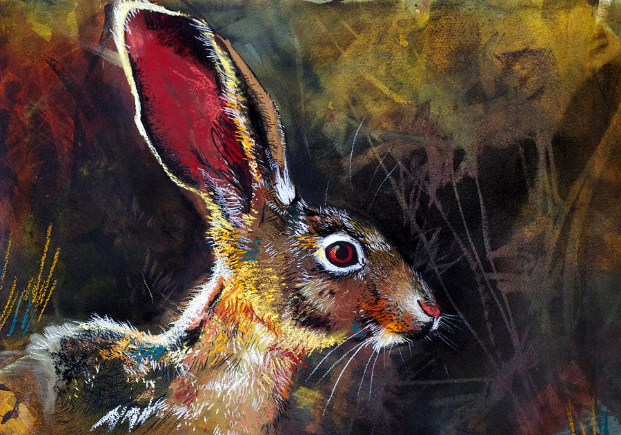 Nature Drawing - Jack Rabbit by Sharlena Wood