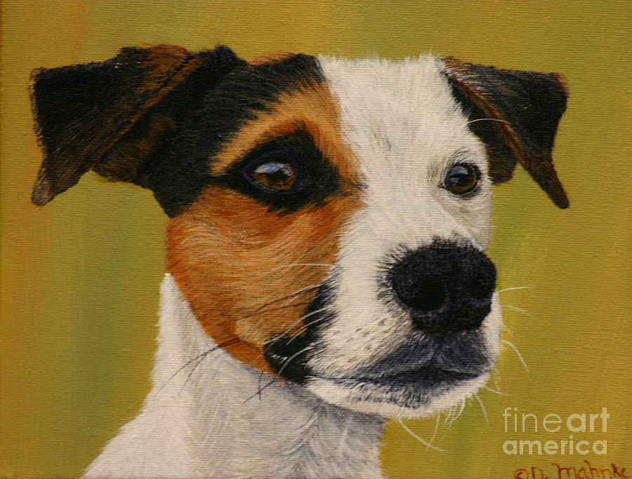 Jack Russell Painting by Diana Mahnke - Fine Art America