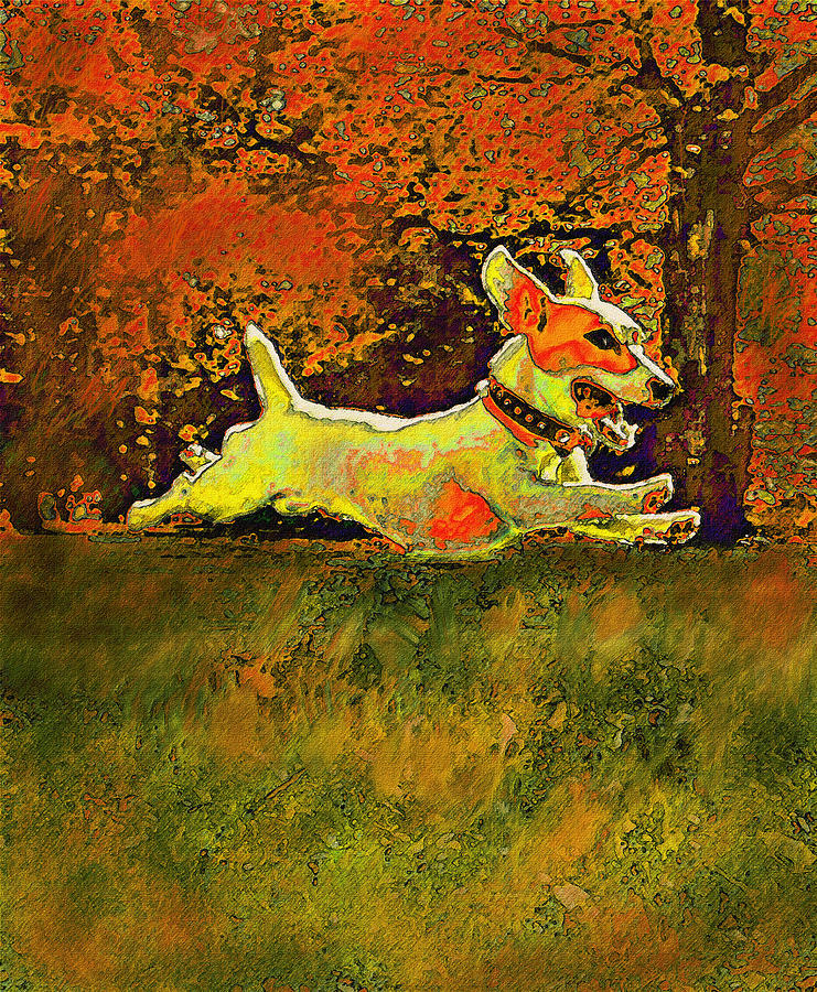 Jack Russell In Autumn Digital Art by Jane Schnetlage