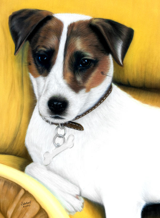 Jack Russell Pastel by Rebelwolf - Fine Art America