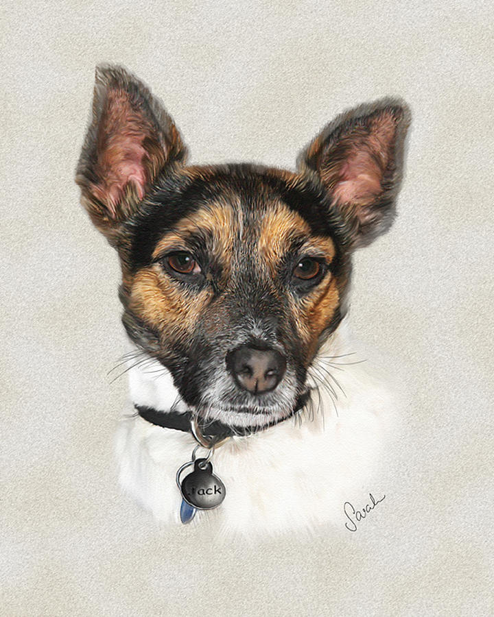 Jack Russell Terrier Painting by Sarah Dowson - Pixels