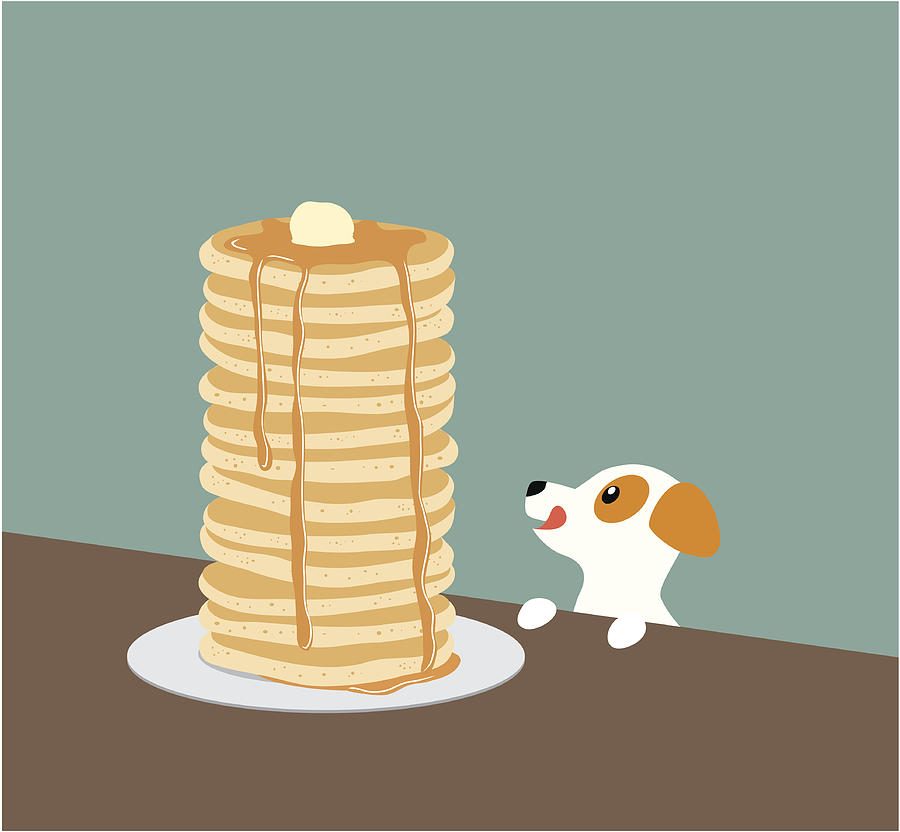 Jack Russell Terrier with Pancakes Drawing by Gollykim