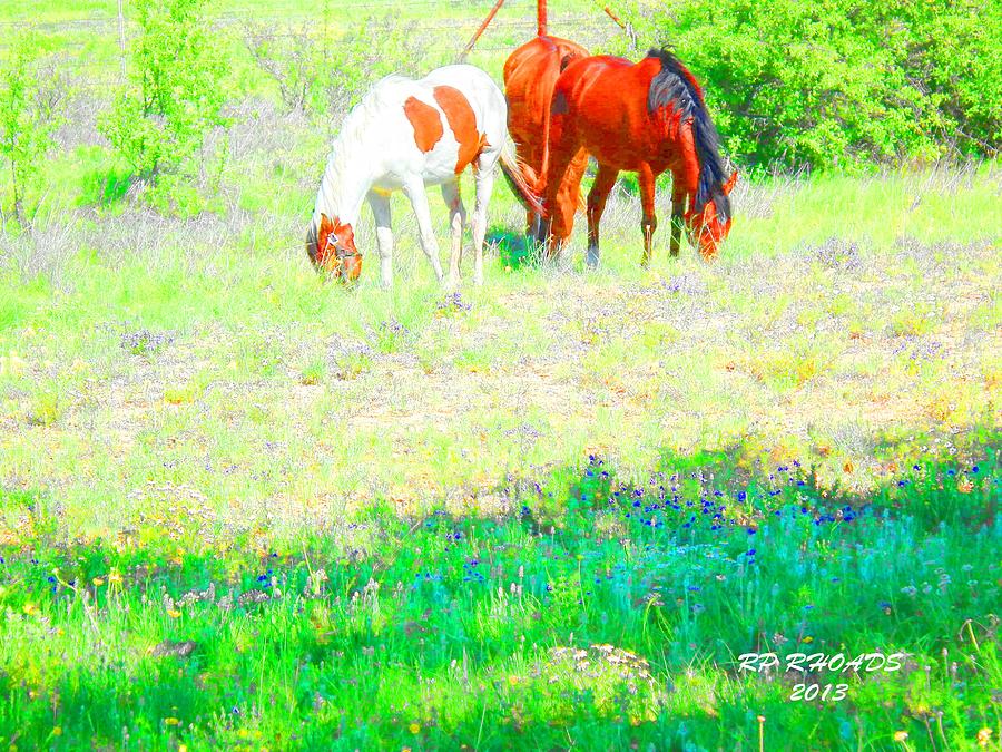 Jack Smokey and Camelot Texas Spring A Digital Art by Robert Rhoads