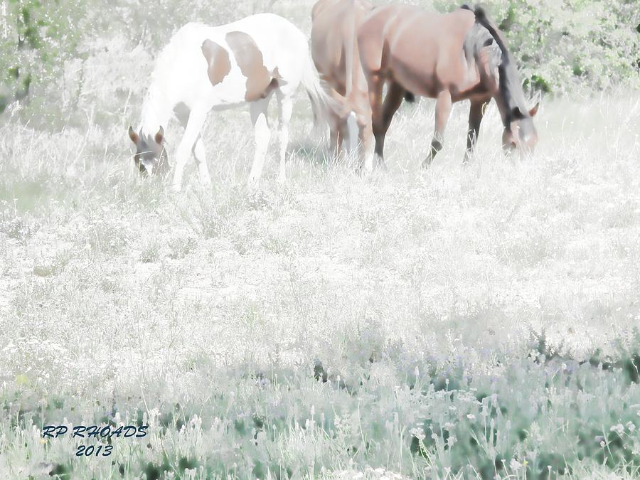 Jack Smokey and Camelot Texas Spring C Digital Art by Robert Rhoads