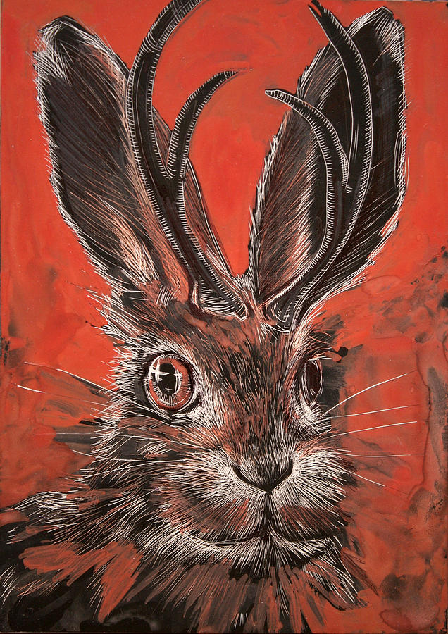 Jackalope Drawing by Stacey Sherman | Fine Art America