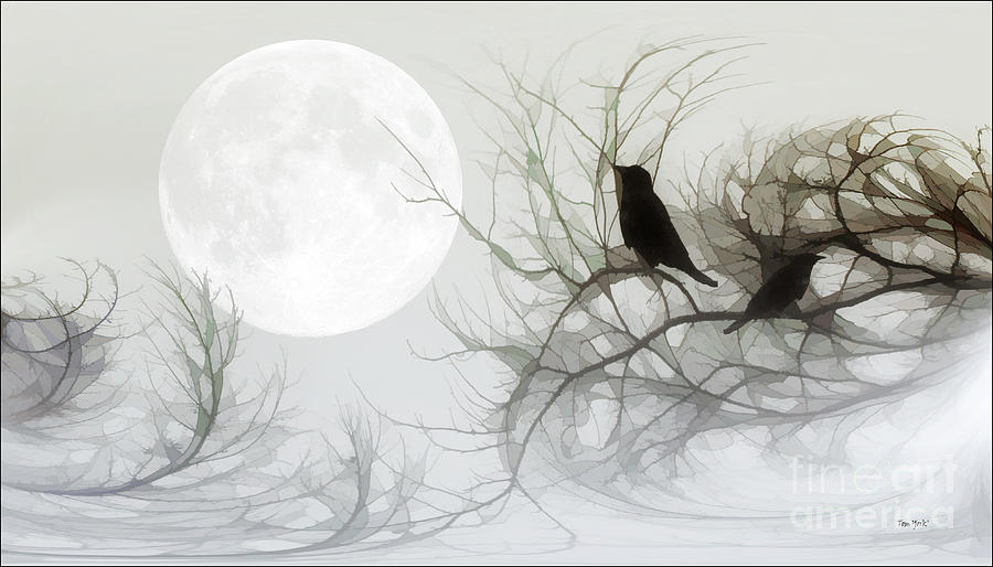 Bird Photograph - Jackdaws In The Moonlight by Tom York Images