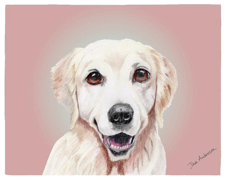 Dog Mixed Media - Jackie a former shelter sweetie by Dave Anderson