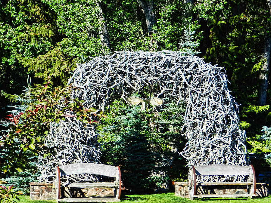 Jackson Hole Wyoming Photograph by Cathy Anderson