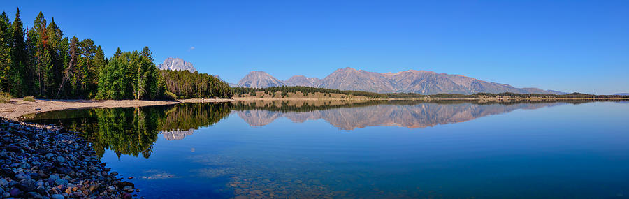 Grand Teton National Park Photograph - Jackson Lake Reflections by Greg Norrell