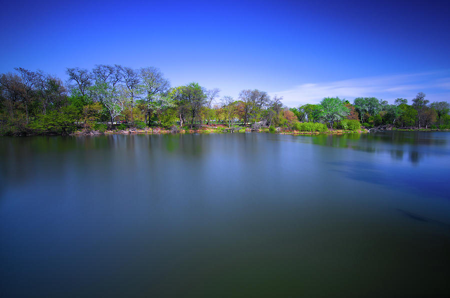 Jackson Park Photograph by Jonah Anderson | Fine Art America