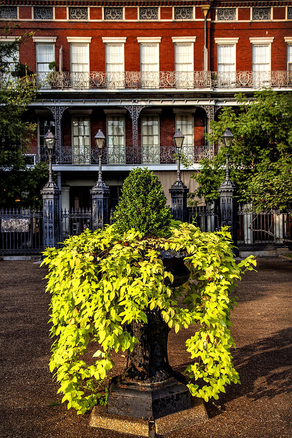Jackson Square Garden Photograph by Diana Powell