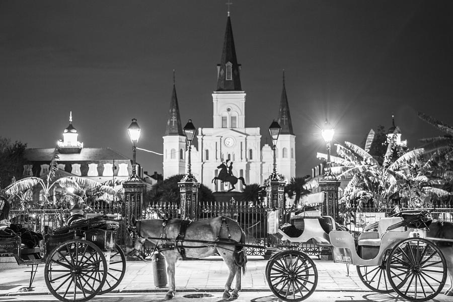 Jackson Square New Orleans horses Photograph by John McGraw