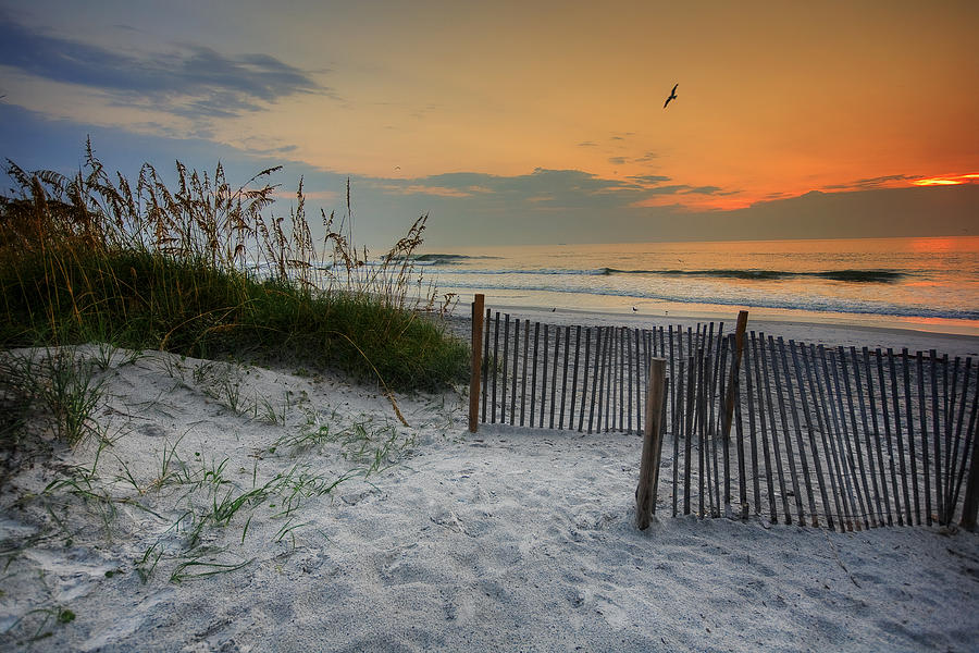 Jacksonville Photograph - Jacksonville Beach Sunset by Chris Moore