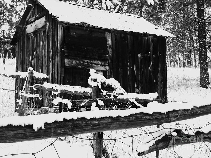 Jacob Lake Winter 7 Photograph by Rachel Butterfield - Fine Art America