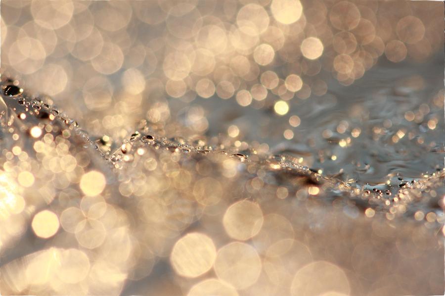 Bokeh Photograph - Jagged Edge by Debbie Howden