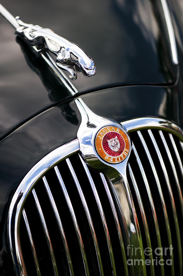 Jaguar 3.4 litre Classic Car Photograph by Tim Gainey