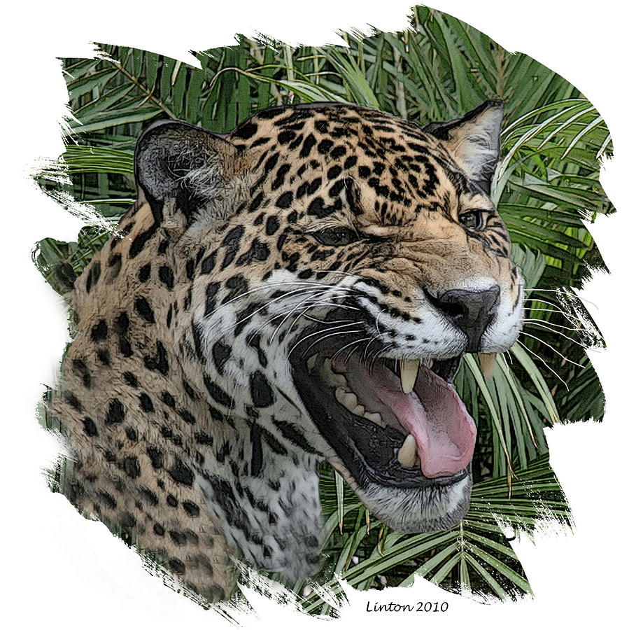 Jaguar 5 Digital Art by Larry Linton