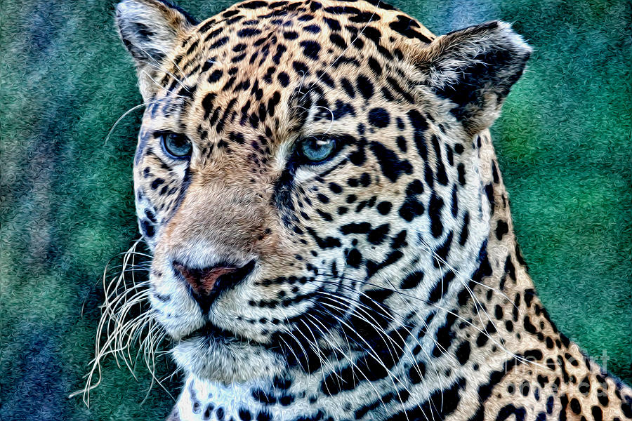 Jaguar Art Digital Art by Jayne Carney