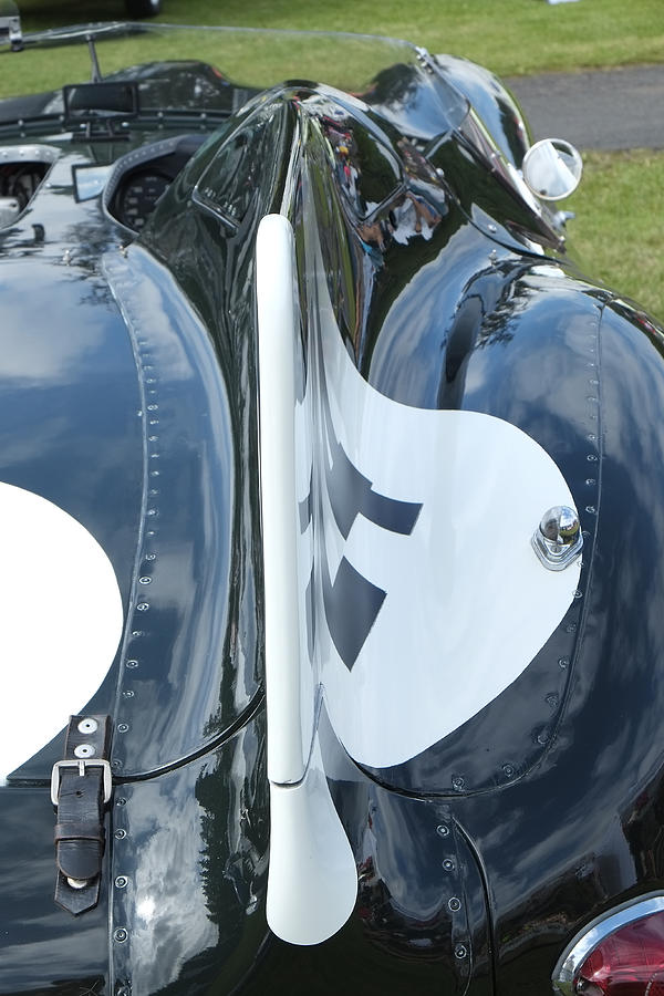 Jaguar D Type Aero Fin Photograph By Adrian Beese Fine Art America