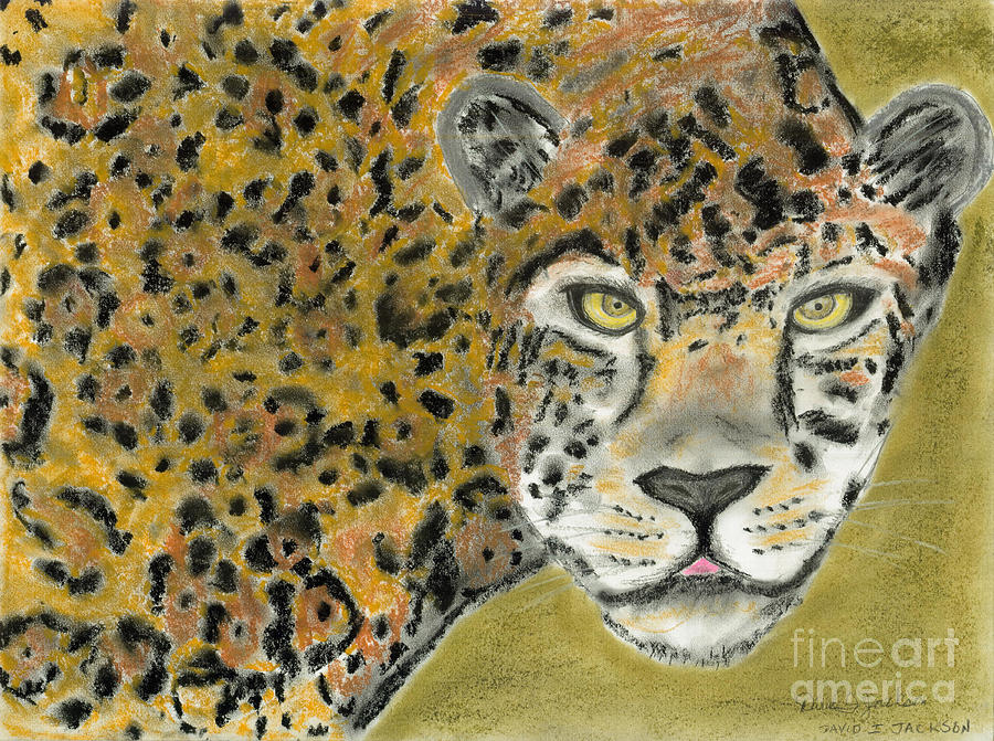 Jaguar Pastel by David Jackson