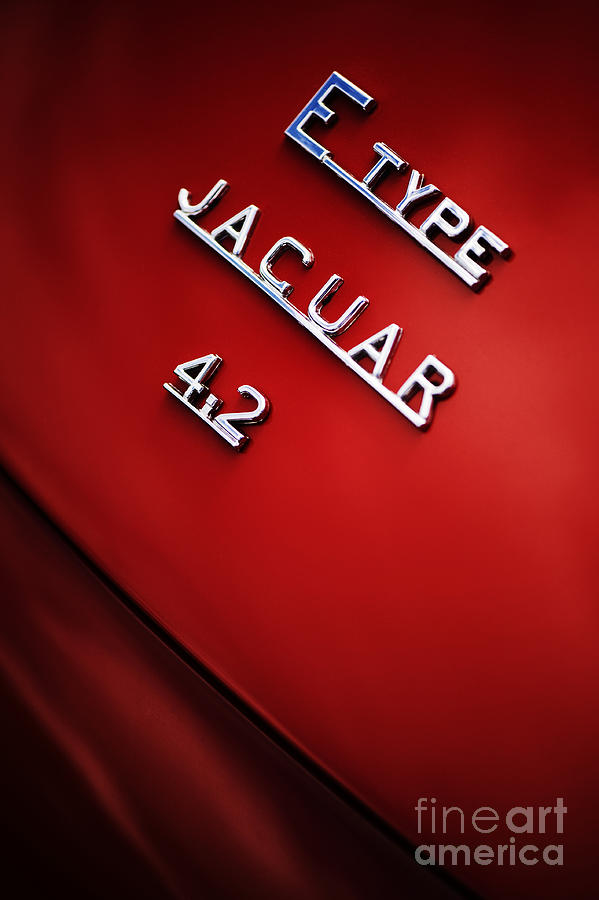 Car Photograph - Jaguar E Type by Tim Gainey