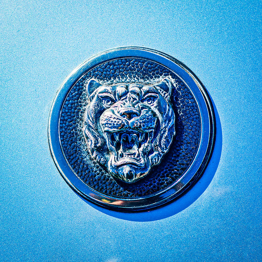 Jaguar Emblem -0056c Photograph by Jill Reger - Pixels