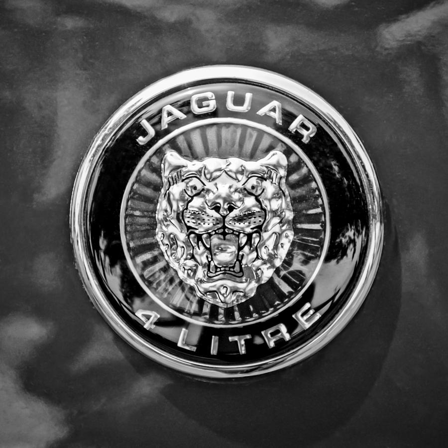 Jaguar Emblem -0125bw Photograph by Jill Reger